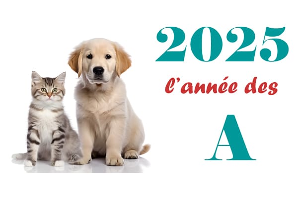 Année des A