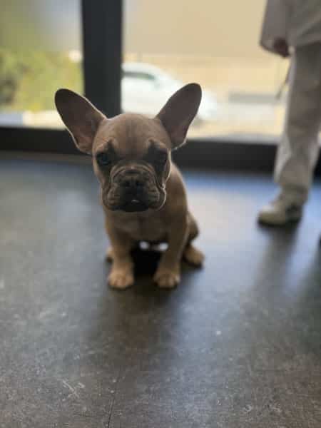 Amos pour sa première visite