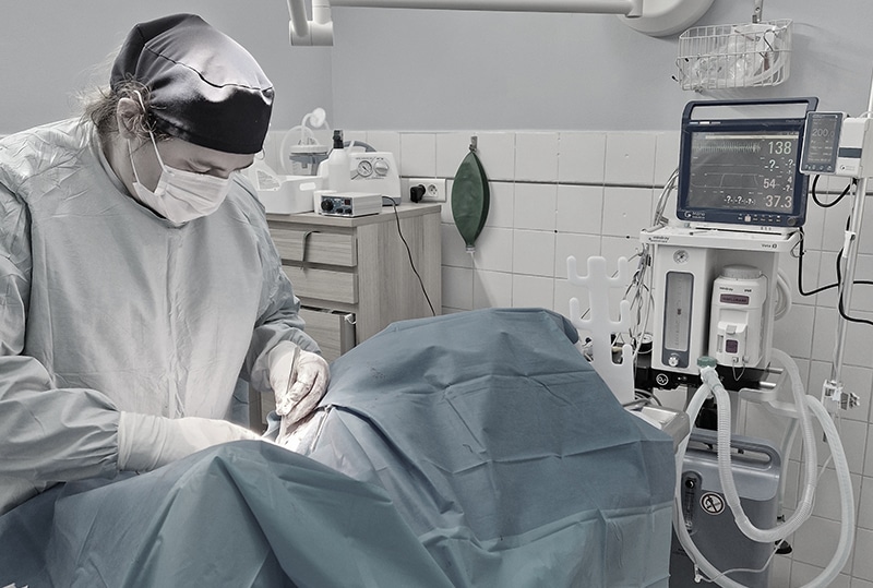 Chirurgie Clinique veterinaire d'eoures