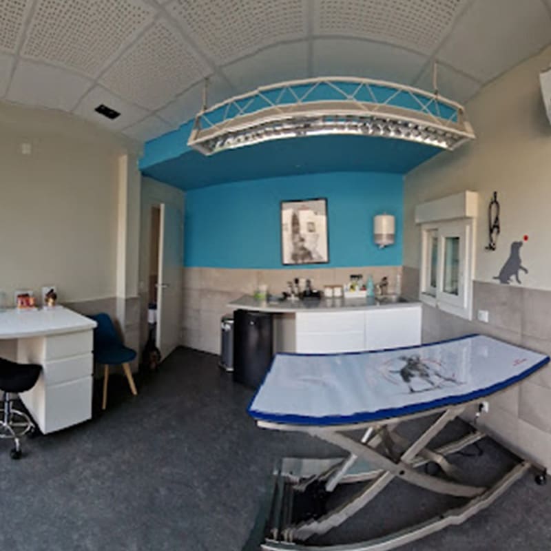 salle de consultation Vétérinaire Marseille