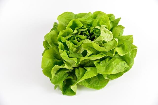 Salade verte