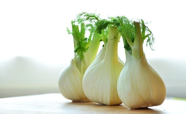 Fenouil frais