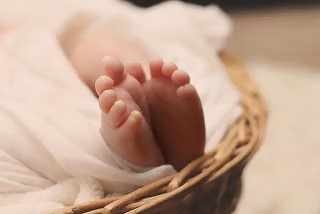 Bébé