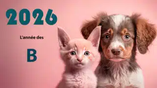 Année des B