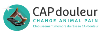 Cap Douleur